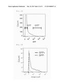 NOVEL INTEGRIN alpha9 beta1 LIGAND AND USES THEREOF diagram and image