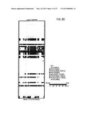 Fast Diagnosis and Personalized Treatment for Acne diagram and image