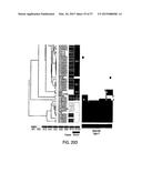 Fast Diagnosis and Personalized Treatment for Acne diagram and image