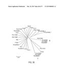 Fast Diagnosis and Personalized Treatment for Acne diagram and image