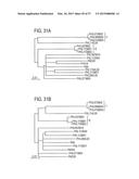 Fast Diagnosis and Personalized Treatment for Acne diagram and image