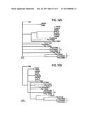 Fast Diagnosis and Personalized Treatment for Acne diagram and image