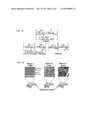 METHODS FOR COATING BONE ALLOGRAFTS WITH PERIOSTEUM-MIMETIC TISSUE     ENGINEERING SCAFFOLDS diagram and image