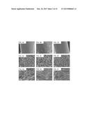 METHODS FOR COATING BONE ALLOGRAFTS WITH PERIOSTEUM-MIMETIC TISSUE     ENGINEERING SCAFFOLDS diagram and image