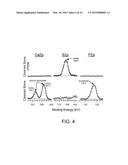 METHODS FOR COATING BONE ALLOGRAFTS WITH PERIOSTEUM-MIMETIC TISSUE     ENGINEERING SCAFFOLDS diagram and image