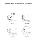 METHODS FOR COATING BONE ALLOGRAFTS WITH PERIOSTEUM-MIMETIC TISSUE     ENGINEERING SCAFFOLDS diagram and image