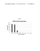 MODIFIED POLYNUCLEOTIDES FOR THE PRODUCTION OF CYTOPLASMIC AND     CYTOSKELETAL PROTEINS diagram and image