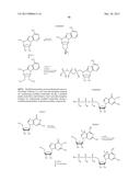 MODIFIED POLYNUCLEOTIDES FOR THE PRODUCTION OF CYTOPLASMIC AND     CYTOSKELETAL PROTEINS diagram and image