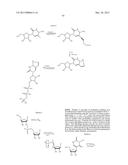 MODIFIED POLYNUCLEOTIDES FOR THE PRODUCTION OF CYTOPLASMIC AND     CYTOSKELETAL PROTEINS diagram and image