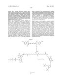 MODIFIED POLYNUCLEOTIDES FOR THE PRODUCTION OF CYTOPLASMIC AND     CYTOSKELETAL PROTEINS diagram and image