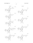 MODIFIED POLYNUCLEOTIDES FOR THE PRODUCTION OF CYTOPLASMIC AND     CYTOSKELETAL PROTEINS diagram and image