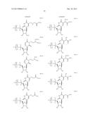 MODIFIED POLYNUCLEOTIDES FOR THE PRODUCTION OF CYTOPLASMIC AND     CYTOSKELETAL PROTEINS diagram and image