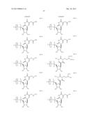 MODIFIED POLYNUCLEOTIDES FOR THE PRODUCTION OF CYTOPLASMIC AND     CYTOSKELETAL PROTEINS diagram and image