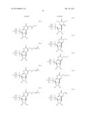 MODIFIED POLYNUCLEOTIDES FOR THE PRODUCTION OF CYTOPLASMIC AND     CYTOSKELETAL PROTEINS diagram and image