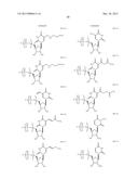 MODIFIED POLYNUCLEOTIDES FOR THE PRODUCTION OF CYTOPLASMIC AND     CYTOSKELETAL PROTEINS diagram and image