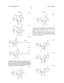 MODIFIED POLYNUCLEOTIDES FOR THE PRODUCTION OF CYTOPLASMIC AND     CYTOSKELETAL PROTEINS diagram and image