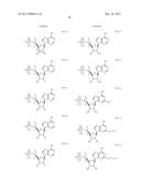 MODIFIED POLYNUCLEOTIDES FOR THE PRODUCTION OF CYTOPLASMIC AND     CYTOSKELETAL PROTEINS diagram and image