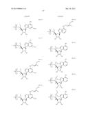 MODIFIED POLYNUCLEOTIDES FOR THE PRODUCTION OF CYTOPLASMIC AND     CYTOSKELETAL PROTEINS diagram and image