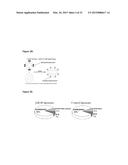 Liposome Structures And Methods of Use Thereof diagram and image