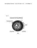 Liposome Structures And Methods of Use Thereof diagram and image