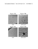 Liposome Structures And Methods of Use Thereof diagram and image