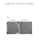 Liposome Structures And Methods of Use Thereof diagram and image