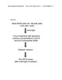 Liposome Structures And Methods of Use Thereof diagram and image