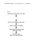 Liposome Structures And Methods of Use Thereof diagram and image