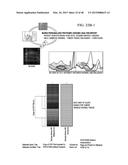 INDIVIDUALIZED CANCER THERAPY diagram and image