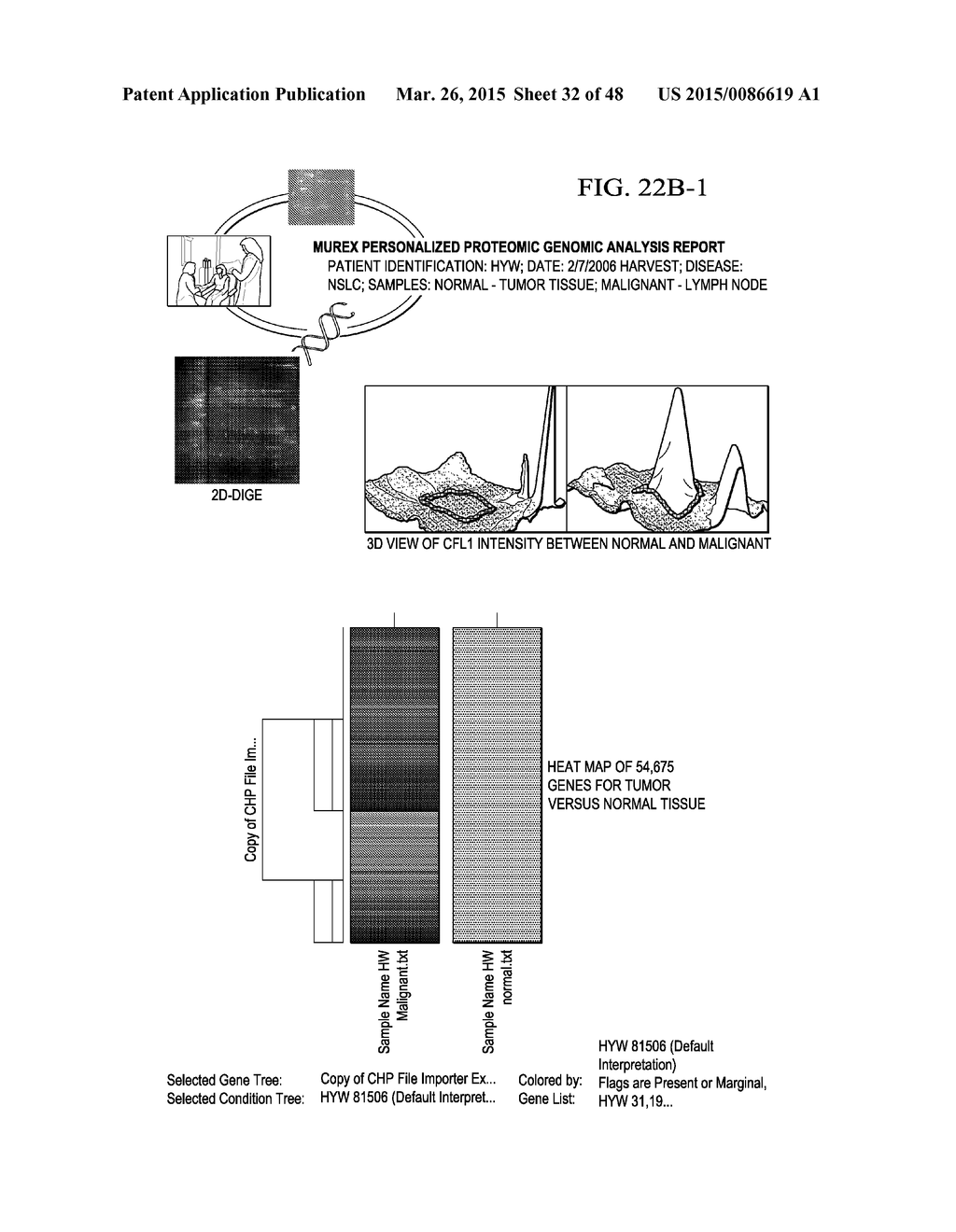 INDIVIDUALIZED CANCER THERAPY - diagram, schematic, and image 33