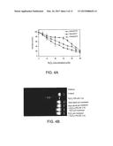 LIPOSOMES FOR PROTECTION AGAINST TOXIC COMPOUNDS diagram and image