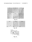 GRAPHENE COMPOSITION, METHOD OF FORMING A GRAPHENE COMPOSITION AND SENSOR     SYSTEM COMPRISING A GRAPHENE COMPOSITION diagram and image