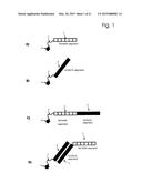 NUCLEOSIDE-TRIPHOSPHATE CONJUGATE AND METHODS FOR THE USE THEREOF diagram and image