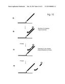 NUCLEOSIDE-TRIPHOSPHATE CONJUGATE AND METHODS FOR THE USE THEREOF diagram and image