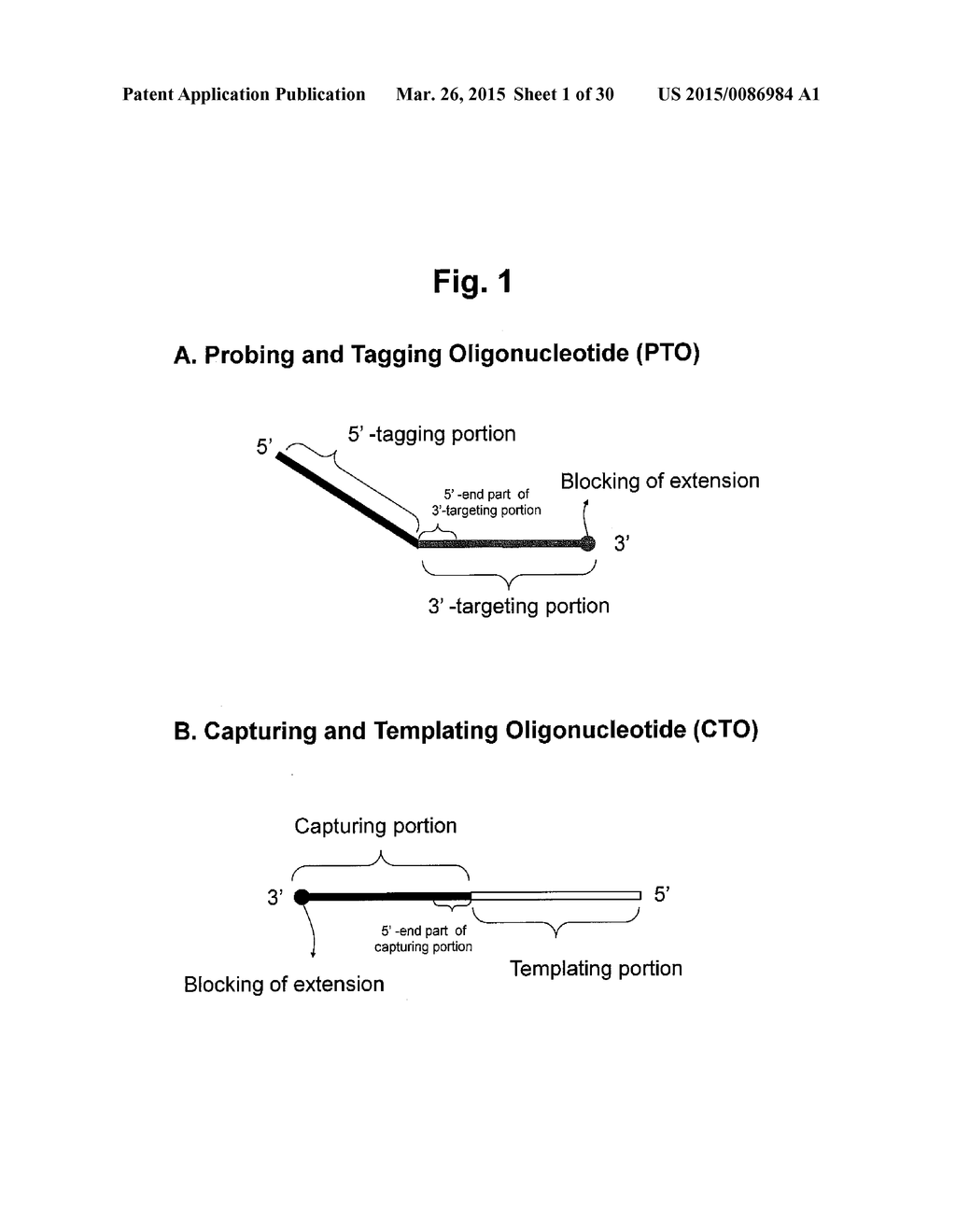 DETECTION OF TARGET NUCLEIC ACID SEQUENCES BY PTO CLEAVAGE AND EXTENSION     ASSAY - diagram, schematic, and image 02