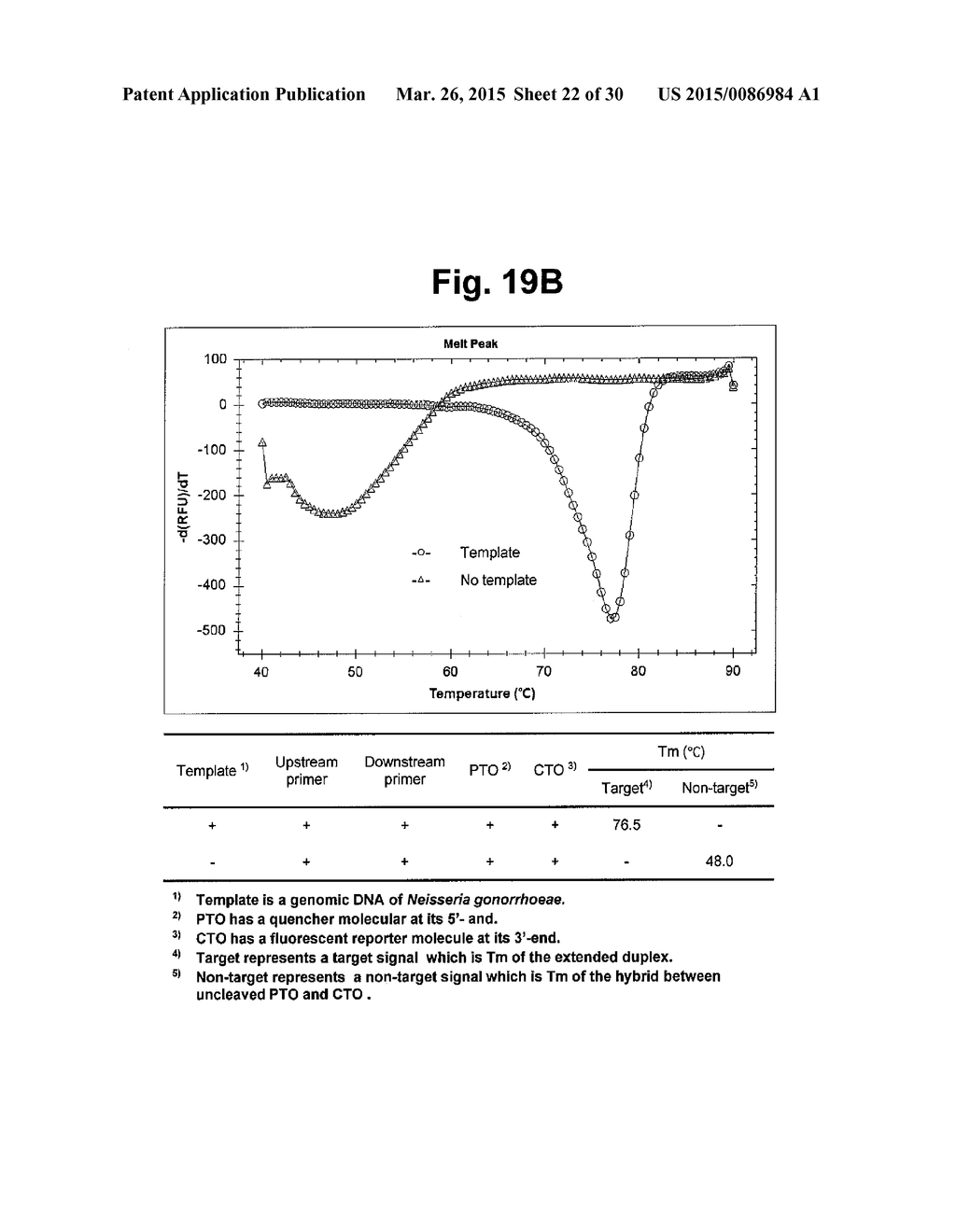 DETECTION OF TARGET NUCLEIC ACID SEQUENCES BY PTO CLEAVAGE AND EXTENSION     ASSAY - diagram, schematic, and image 23