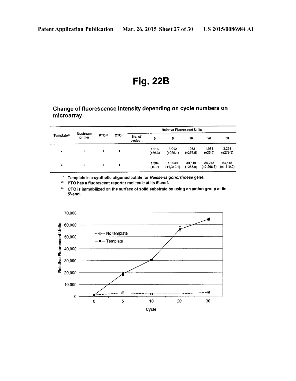 DETECTION OF TARGET NUCLEIC ACID SEQUENCES BY PTO CLEAVAGE AND EXTENSION     ASSAY - diagram, schematic, and image 28