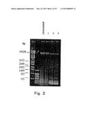 METHOD FOR DETECTION OF MICROORGANISM AND KIT FOR DETECTION OF     MICROORGANISM diagram and image