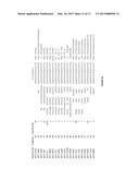 APTAMERS AND DIAGNOSTIC METHODS FOR DETECTING THE EGF RECEPTOR diagram and image