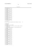 APTAMERS AND DIAGNOSTIC METHODS FOR DETECTING THE EGF RECEPTOR diagram and image