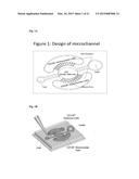 CELLULAR CIS-CO-CULTURE SYSTEMS AND METHODS diagram and image