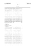 Methods and Compositions for Producing Active Vitamin K-Dependent Proteins diagram and image