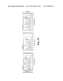 METHODS AND COMPOSITIONS FOR INACTIVATING GLUTAMINE SYNTHETASE GENE     EXPRESSION diagram and image