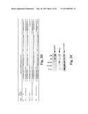 METHODS AND COMPOSITIONS FOR INACTIVATING GLUTAMINE SYNTHETASE GENE     EXPRESSION diagram and image