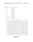 METHODS AND COMPOSITIONS FOR INACTIVATING GLUTAMINE SYNTHETASE GENE     EXPRESSION diagram and image