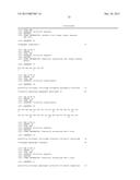 METHODS AND COMPOSITIONS FOR INACTIVATING GLUTAMINE SYNTHETASE GENE     EXPRESSION diagram and image