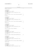 METHODS AND COMPOSITIONS FOR INACTIVATING GLUTAMINE SYNTHETASE GENE     EXPRESSION diagram and image