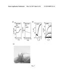 Low-Temperature Fabrication of Spray-Coated Metal Oxide Thin Film     Transistors diagram and image