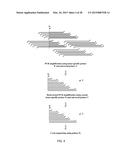 DNA AMPLIFICATION AND SEQUENCING USING DNA MOLECULES GENERATED BY RANDOM     FRAGMENTATION diagram and image