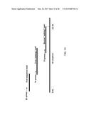 DNA AMPLIFICATION AND SEQUENCING USING DNA MOLECULES GENERATED BY RANDOM     FRAGMENTATION diagram and image